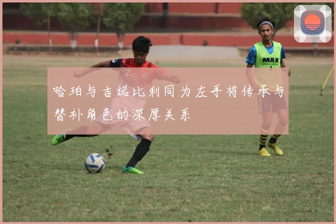 哈珀与吉诺比利同为左手将传承与替补角色的深厚关系
