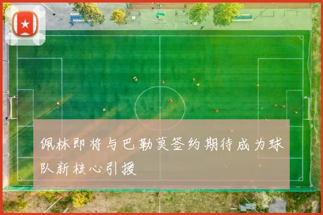 佩林即将与巴勒莫签约期待成为球队新核心引援